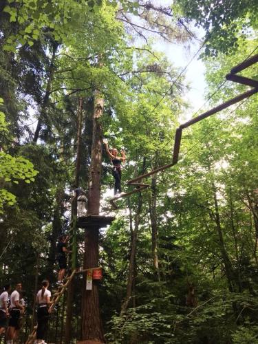 34791768 1801776633216785 7383727657239707648 n