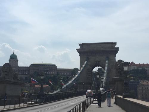 35210636 1807379069323208 3508776289836204032 n